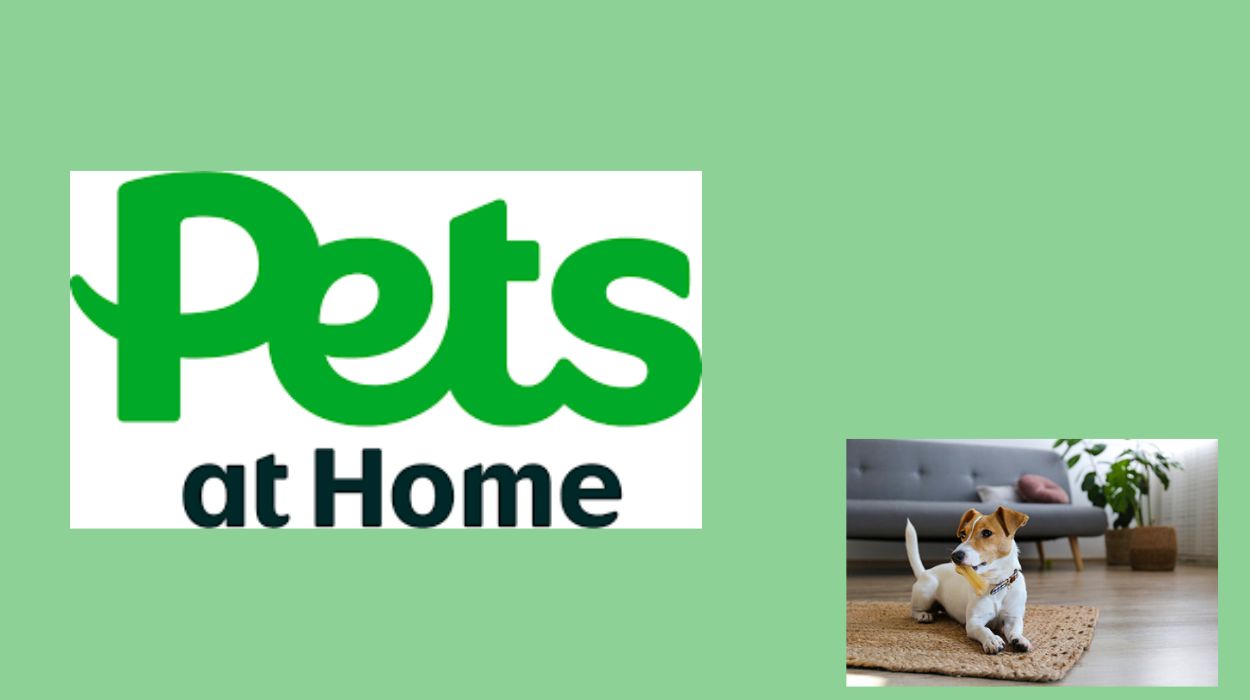 pet at home